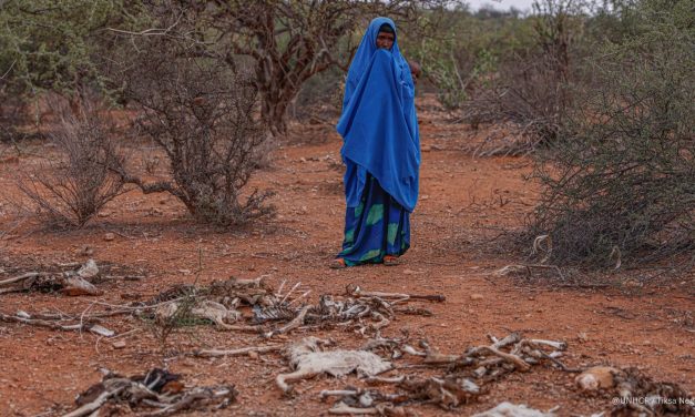 Unhcr: “La crisi climatica è un’emergenza umanitaria”