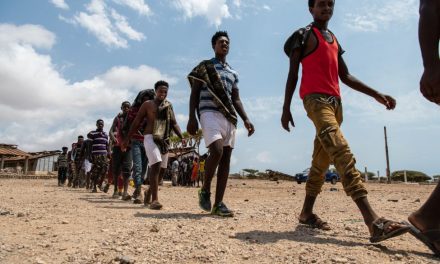 Necessari 112 milioni di dollari per salvare i migranti nel Corno d’Africa, Yemen e Africa meridionale