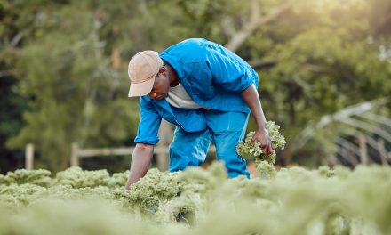 Statistiche Istat: valori elevati per la povertà assoluta tra gli stranieri