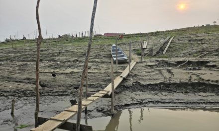 Oim: necessarie soluzioni strategiche globali sul clima per aiutare le persone a rimanere