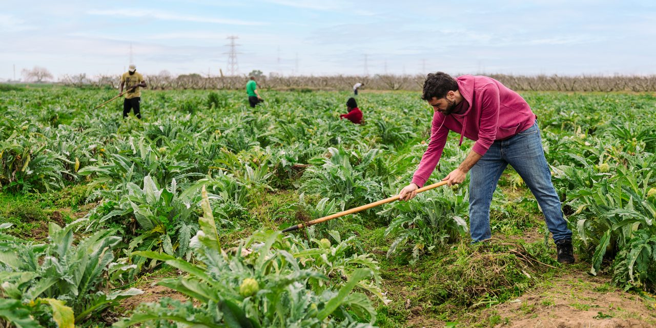 Osservatorio sugli stranieri Inps: nel 2023 3,8 milioni di lavoratori stranieri