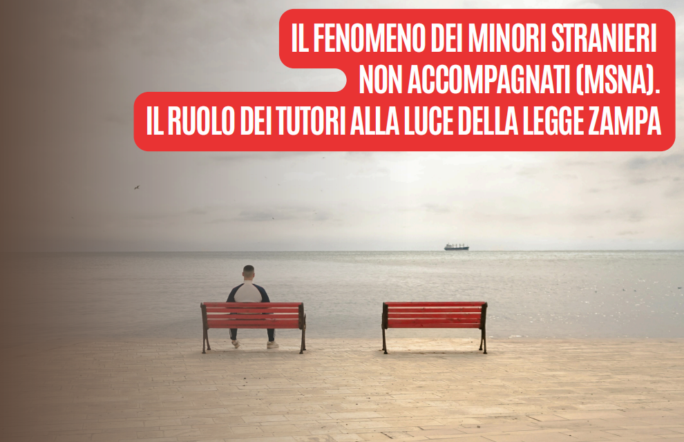 Il ruolo dei tutori di msna: lezione aperta all’Università