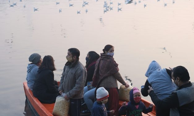 Immigrazione in Italia tra percezione e realtà