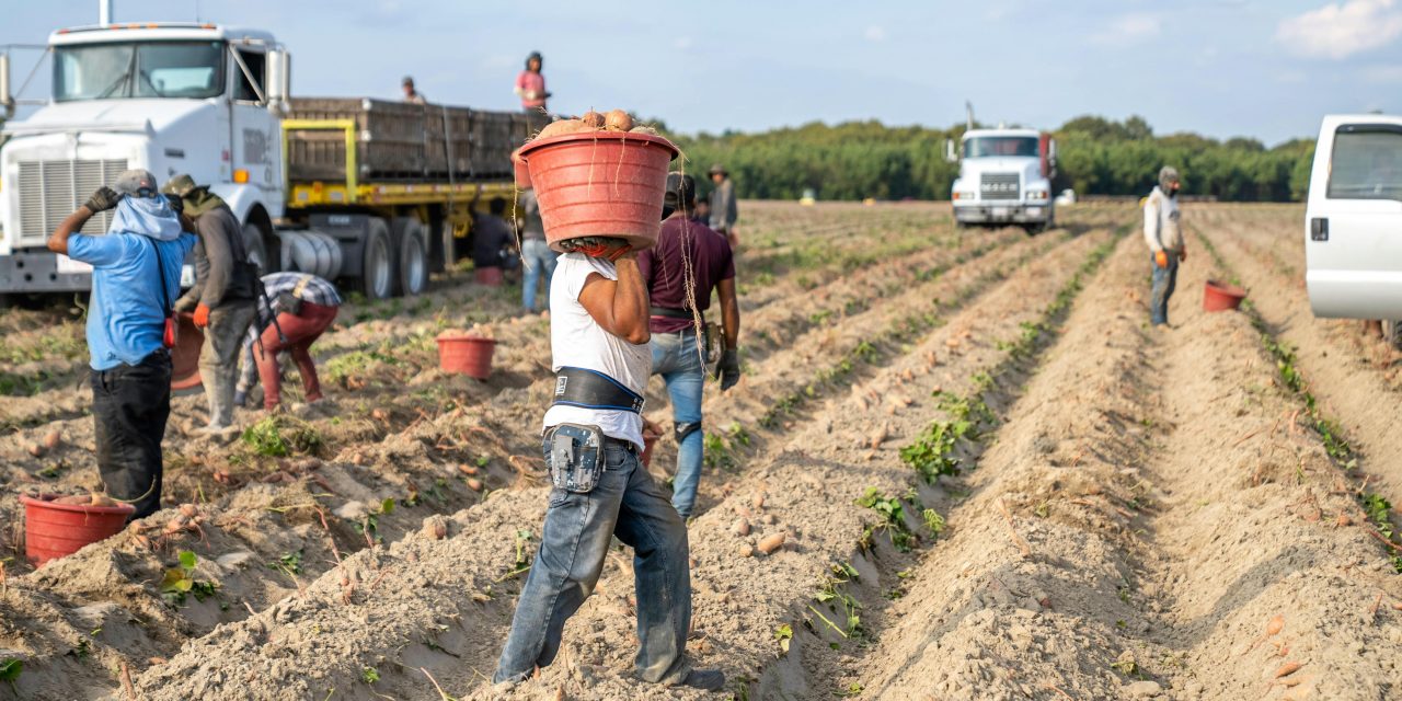 Le rimesse verso l’estero: Bangladesh primo paese beneficiario