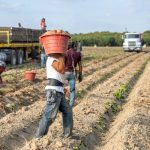 Le rimesse verso l’estero: Bangladesh primo paese beneficiario