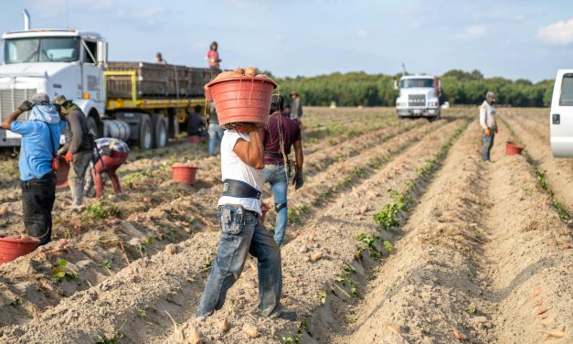 Le rimesse verso l’estero: Bangladesh primo paese beneficiario